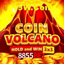 Experiência VIP 8855Bet